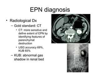 Urology infection [Dr. Edmond Wong] | PPT