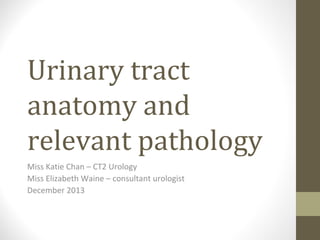 Urinary tract
anatomy and
relevant pathology
Miss Katie Chan – CT2 Urology
Miss Elizabeth Waine – consultant urologist
December 2013

 