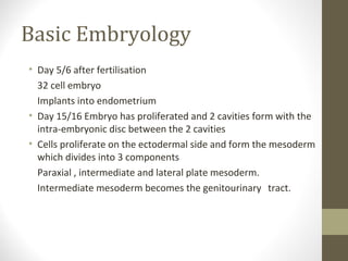 Basic Embryology
• Day 5/6 after fertilisation
32 cell embryo
Implants into endometrium
• Day 15/16 Embryo has proliferated and 2 cavities form with the
intra-embryonic disc between the 2 cavities
• Cells proliferate on the ectodermal side and form the mesoderm
which divides into 3 components
Paraxial , intermediate and lateral plate mesoderm.
Intermediate mesoderm becomes the genitourinary tract.

 