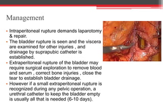 Management
• Intraperitoneal rupture demands laparotomy
& repair.
• The bladder rupture is seen and the viscera
are examined for other injuries , and
drainage by suprapubic catheter is
established.
• Extraperitoneal rupture of the bladder may
require surgical exploration to remove blood
and serum , correct bone injuries , close the
tear to establish bladder drainage.
• However if a small extraperitoneal rupture is
recognized during any pelvic operation, a
urethral catheter to keep the bladder empty
is usually all that is needed (6-10 days).
 