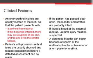 Clinical Features
• Anterior urethral injuries are
usually located at the bulb, so
that the patient presents with:
▫ a perineal haematoma.
▫ If this becomes infected, there
may be sloughing of the skin,
urethra and even the scrotal
tissues.
• Patients with posterior urethral
tears are usually shocked and
require resuscitation before a
detailed assessment can be
• If the patient has passed clear
urine, the bladder and urethra
are probably intact.
• If there is blood at the external
meatus, urethral injury must be
suspected.
• A distended bladder can occur
because of spasm of the
urethral sphincter or because of
a torn posterior urethra.
 