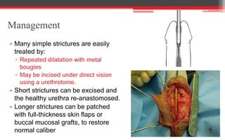Management
• Many simple strictures are easily
treated by:
▫ Repeated dilatation with metal
bougies
▫ May be incised under direct vision
using a urethrotome.
• Short strictures can be excised and
the healthy urethra re-anastomosed.
• Longer strictures can be patched
with full-thickness skin flaps or
buccal mucosal grafts, to restore
normal caliber
 