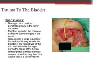 Trauma To The Bladder
Open injuries:
• Damaged as a result of
penetrating injury to the lower
abdomen
• Might be injured in the course of
extensive cancer surgery in the
pelvis
• Occasionally a large inguinal or
femoral hernia may include the
bladder in the medial wall of the
sac and it may be damaged
during the repair of the hernia
• Unrecognized damage during a
surgical procedure may lead to a
wound fistula, a vesicovaginal
 