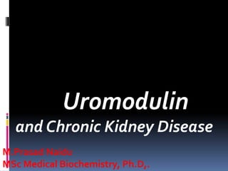 Uromodulin
and Chronic Kidney Disease
M.Prasad Naidu
MSc Medical Biochemistry, Ph.D,.
 