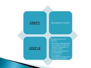 STEP 9 Reoxidation of Xylitol
STEP 10
Phosphorylation of D-
Xylulose
• Dxylulose is phosphorylat
ed at carbon 5 to form D-
xylulose 5-phosphat via
xylulose kinase
• Further metabolized via
the HMP Shunt
• Converted to
intermediates of glycolysis
for energy production
 