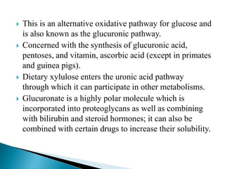  This is an alternative oxidative pathway for glucose and
is also known as the glucuronic pathway.
 Concerned with the synthesis of glucuronic acid,
pentoses, and vitamin, ascorbic acid (except in primates
and guinea pigs).
 Dietary xylulose enters the uronic acid pathway
through which it can participate in other metabolisms.
 Glucuronate is a highly polar molecule which is
incorporated into proteoglycans as well as combining
with bilirubin and steroid hormones; it can also be
combined with certain drugs to increase their solubility.
 