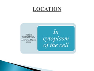 TISSUE
DISTRIBUTION:
Liver and Adipose
tissue
In
cytoplasm
of the cell
 