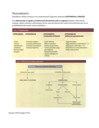 Tiempo de evolución (aguda cursa con dolor cólico nefrítico y la crónica cursa asintomática)