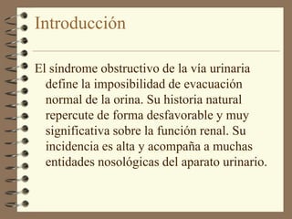 Introducción

El síndrome obstructivo de la vía urinaria
  define la imposibilidad de evacuación
  normal de la orina. Su historia natural
  repercute de forma desfavorable y muy
  significativa sobre la función renal. Su
  incidencia es alta y acompaña a muchas
  entidades nosológicas del aparato urinario.
 