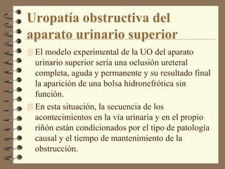 Uropatía obstructiva del
aparato urinario superior
 El modelo experimental de la UO del aparato
  urinario superior sería una oclusión ureteral
  completa, aguda y permanente y su resultado final
  la aparición de una bolsa hidronefrótica sin
  función.
 En esta situación, la secuencia de los
  acontecimientos en la vía urinaria y en el propio
  riñón están condicionados por el tipo de patología
  causal y el tiempo de mantenimiento de la
  obstrucción.
 
