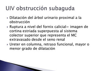  Dilatación del árbol urinario proximal a la
obstrucción
 Ruptura a nivel del fornix calicial= imagen de
cortina estriada superpuesta al sistema
colector superior que representa el MC
extravasado desde el seno renal
 Ureter en columna, retraso funcional, mayor o
menor grado de dilatación
 