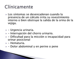  Los síntomas se desencadenan cuando la
presencia de un cálculo irrita su revestimiento
interno o bien obstruye la salida de la orina de la
vejiga.
 - Urgencia urinaria.
 - Interrupción del chorro urinario.
 - Dificultad para la micción o incapacidad para
orinar posicional
 - Hematuria.
 - Dolor abdominal y en perine o pene
 