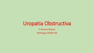 Uropatia Obstructiva
P Herrera Añazco
Nefrologo HN2M-ISN
 