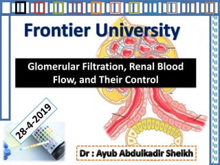 Glomerular Filtration, Renal Blood
Flow, and Their Control
 