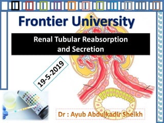 Renal Tubular Reabsorption
and Secretion
 