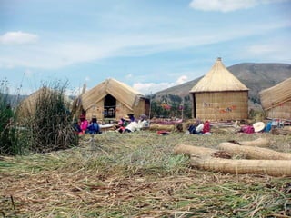 Uros