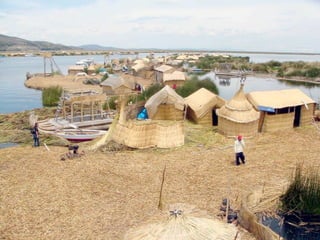 Uros