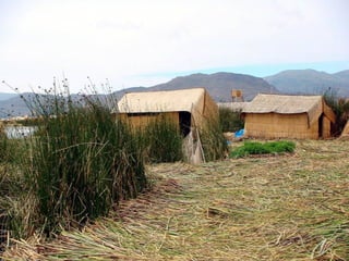 Uros