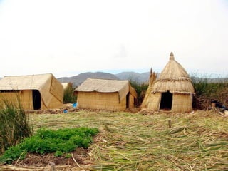 Uros