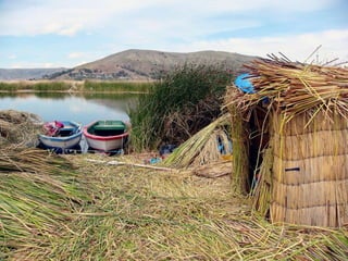 Uros