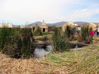 Uros