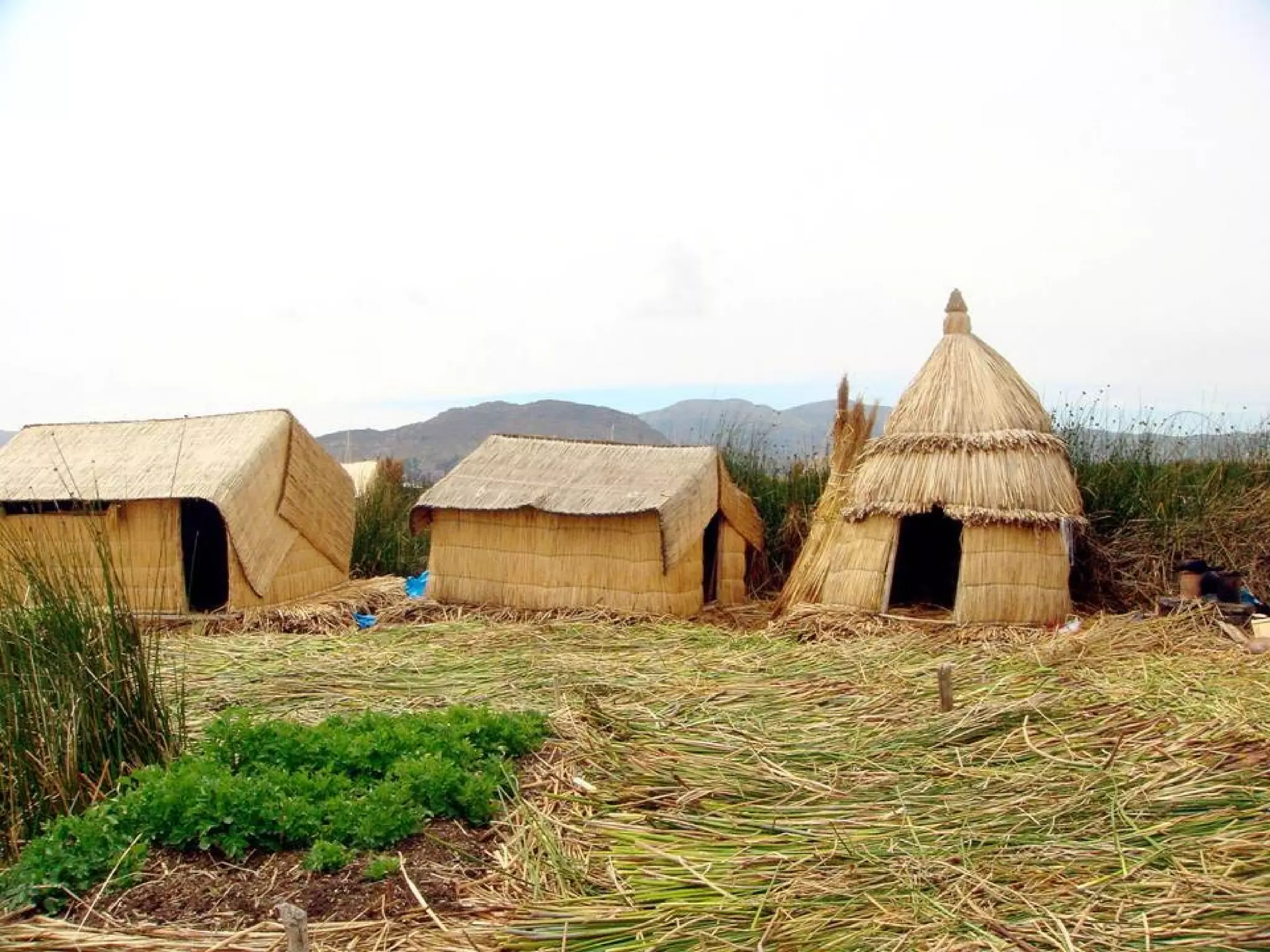 OS UROS