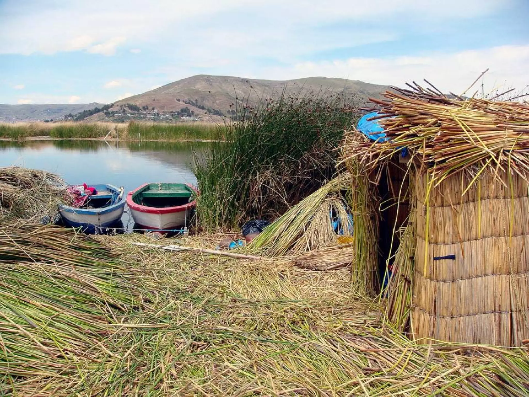 OS UROS