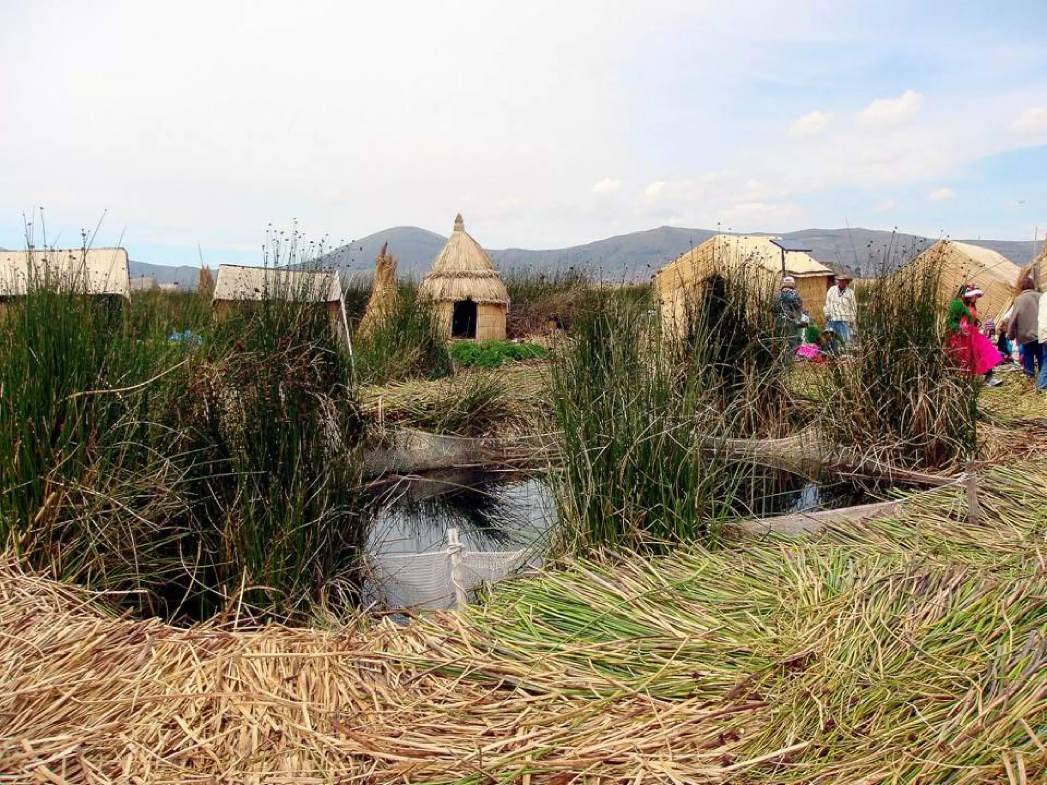 OS UROS