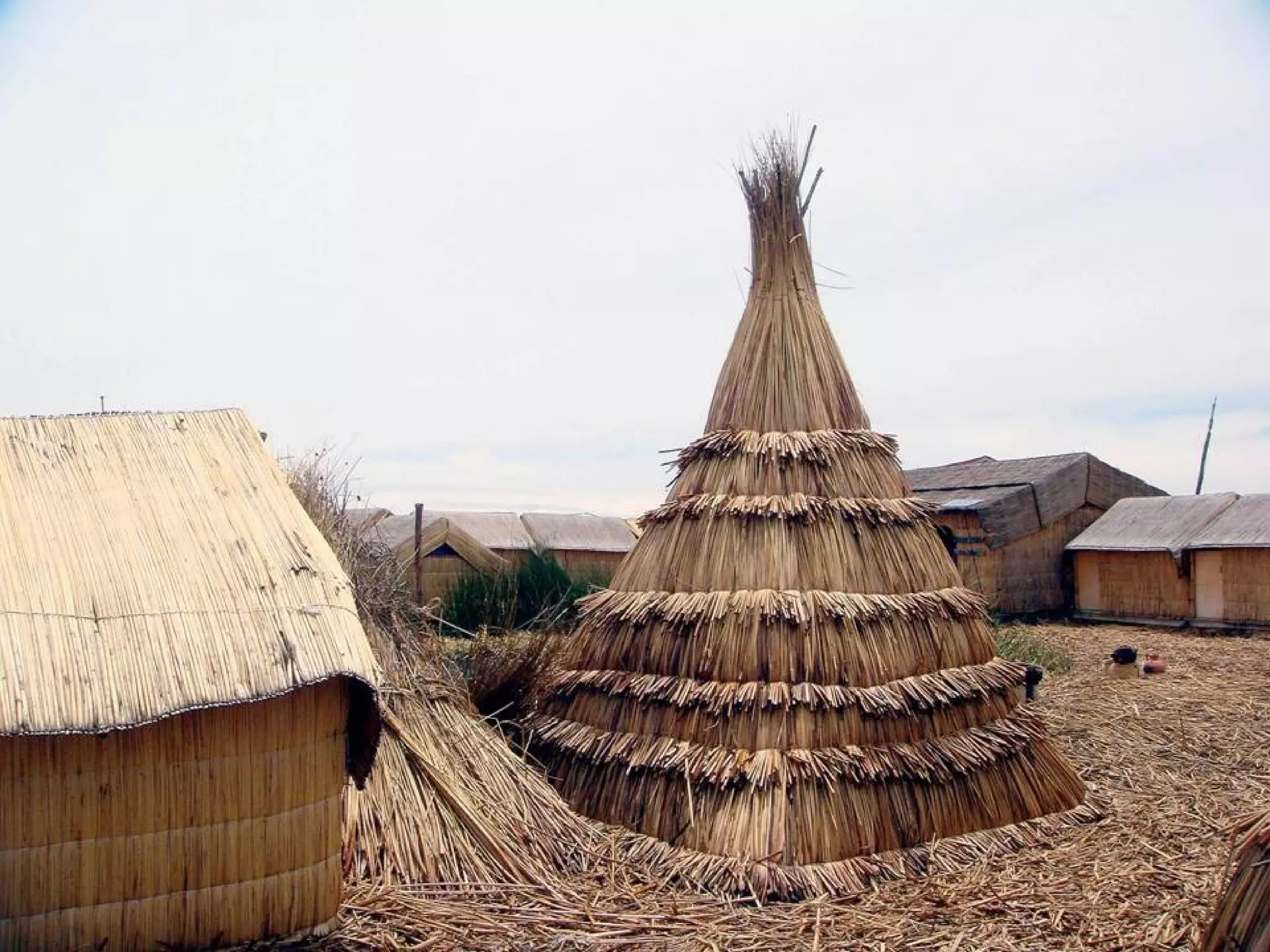 OS UROS