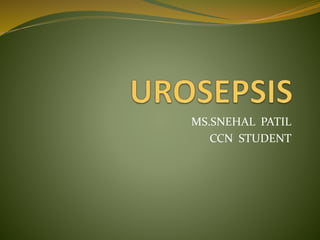 MS.SNEHAL PATIL
CCN STUDENT
 