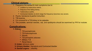 Pyuria In Prostatitis المحاضرة الثالثة Urosurgery (Inflammation).pptx