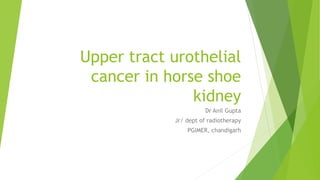 Upper tract urothelial
cancer in horse shoe
kidney
Dr Anil Gupta
Jr/ dept of radiotherapy
PGIMER, chandigarh
 