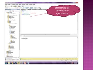 Escribimos las sentencias y ejecutamos