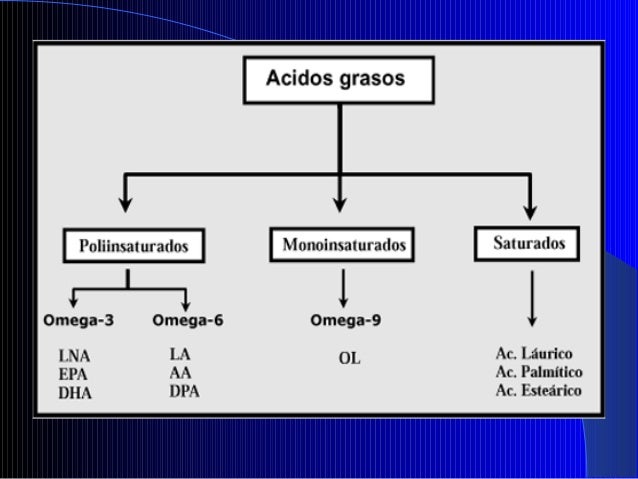 Diapositivas Bioquimica III segmento, Acidos grasos saturados e insat…