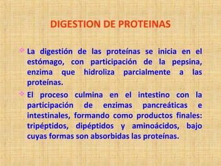 DIGESTION DE PROTEINAS
 La digestión de las proteínas se inicia en el
estómago, con participación de la pepsina,
enzima q...