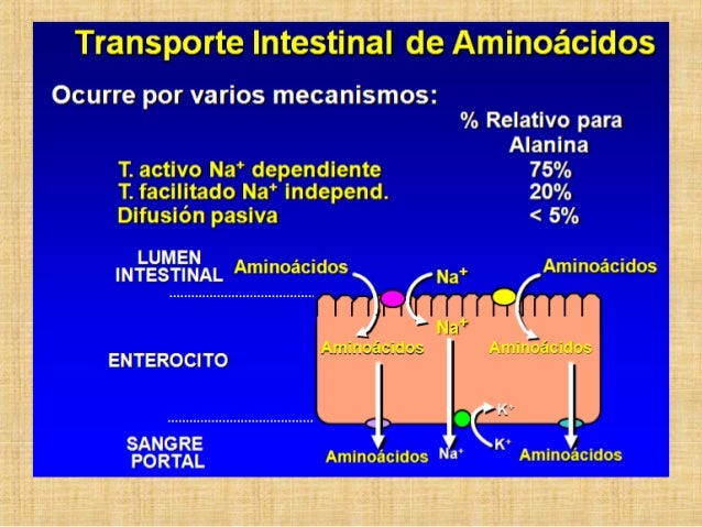 Fascinantes dieta del metabolismo tácticas