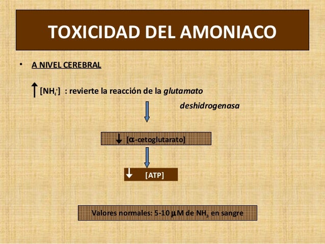 Cinco cuestiones sobre alimentos que aceleran el metabolismo para perder peso