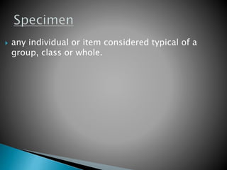  any individual or item considered typical of a
group, class or whole.
 