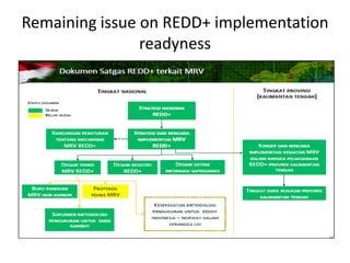 Remaining issue on REDD+ implementation readyness 
 