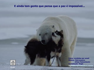 Fotos: recebidas por email Música: Clairvoyance (Peter Ratzenbeck) Formatação: Regis [email_address] br rever E ainda tem gente que pensa que a paz é impossível... 