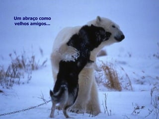 Um abraço como velhos amigos... 