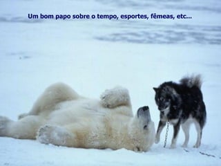 Um bom papo sobre o tempo, esportes, fêmeas, etc... 