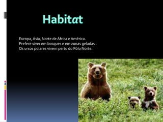 Europa, Ásia, Norte de África e América.
Prefere viver em bosques e em zonas geladas .
Os ursos polares vivem perto do Pólo Norte.
 
