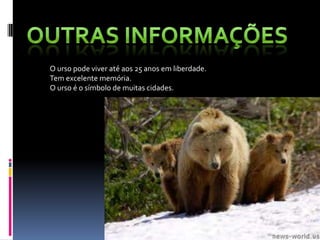 O urso pode viver até aos 25 anos em liberdade.
Tem excelente memória.
O urso é o símbolo de muitas cidades.
 