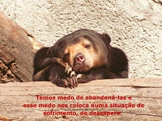 Temos medo de abandoná-las e esse medo nos coloca numa situação de sofrimento, de desespero.  