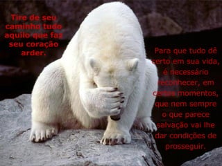 Tire de seu caminho tudo aquilo que faz seu coração arder. Para que tudo dê certo em sua vida, é necessário reconhecer, em certos momentos, que nem sempre o que parece salvação vai lhe dar condições de prosseguir. 