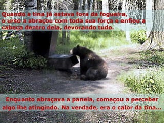 Enquanto abraçava a panela, começou a perceber algo lhe atingindo. Na verdade, era o calor da tina...  Quando a tina já estava fora da fogueira, o urso a abraçou com toda sua força e enfiou a cabeça dentro dela, devorando tudo. 