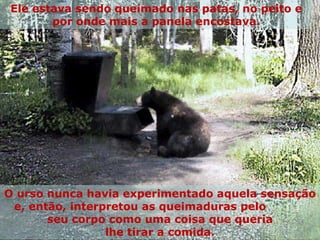 Ele estava sendo queimado nas patas, no peito e por onde mais a panela encostava. O urso nunca havia experimentado aquela sensação e, então, interpretou as queimaduras pelo  seu corpo como uma coisa que queria lhe tirar a comida. 