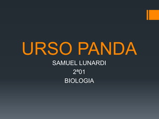 URSO PANDA
SAMUEL LUNARDI
2ª01
BIOLOGIA

 