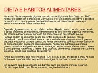 DIETA E HÁBITOS ALIMENTARES
Hua Mei, filhote de panda gigante nascido no zoológico de San Diego em 2000.
Apesar de pertencer à ordem dos Carnívoros e ter um sistema digestivo e genético
de carnívoro, o panda possui hábitos herbívoros, alimentando-se quase que
exclusivamente das folhas de bambus.
O panda gigante consome, em média, de 9 a 14kg de bambu por dia , mas devido
à pouca absorção de nutrientes, característica de seu sistema digestivo ineficiente,
ele precisa passar a maior parte do dia comendo e se exercitando pouco.
Pandas podem se alimentar de 25 diferentes espécies de bambus, mas a
devastação das florestas limitou-os a pouca variedade em lugares mais íngremes,
elevados e isolados da Ásia central. As folhas de bambus são ricas em proteínas e
os brotos também possuem boa quantidade. Apesar de manterem as presas,
garras, capacidade digestiva e força para caçar pequenos mamíferos, aves, peixes
e ovos, pandas raramente o fazem. Sua digestão de celulose depende de sua flora
intestinal, sendo sua genética desfavorável.
Ainda que o bambu seja rico em água (40% de seu peso, chegando a 90% no caso
de brotos), o panda bebe frequentemente água de riachos ou neve derretida.
Em cativeiro sua dieta consiste em bambu, cana-de-açúcar, mingau de arroz,
biscoito especial rico em fibras, cenoura, maçã e batata-doce.
 